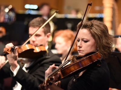 Festival-Orchestra-Chamber-Players_400x300_acf_cropped